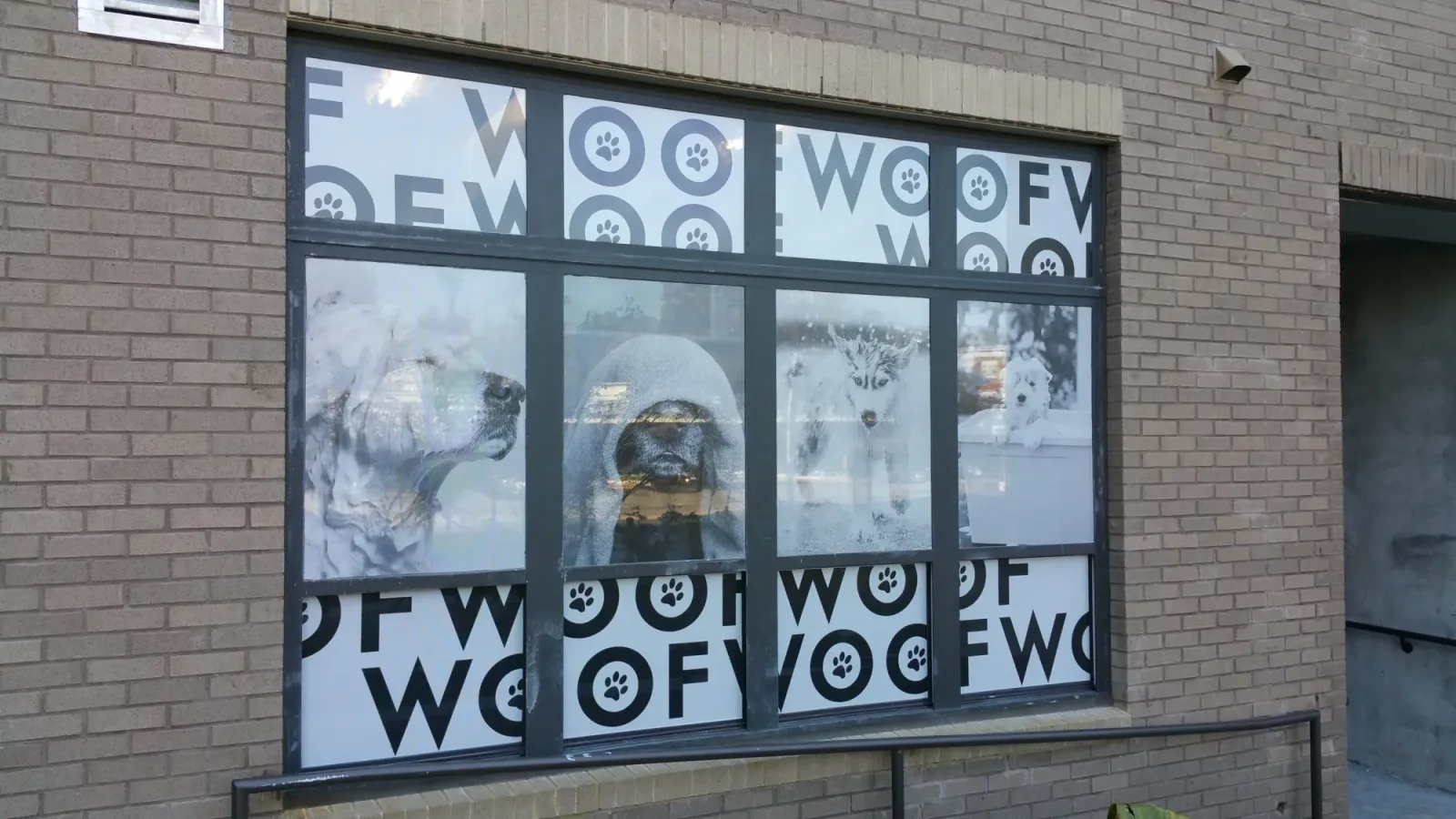 Wall Graphics Gallery - view 10